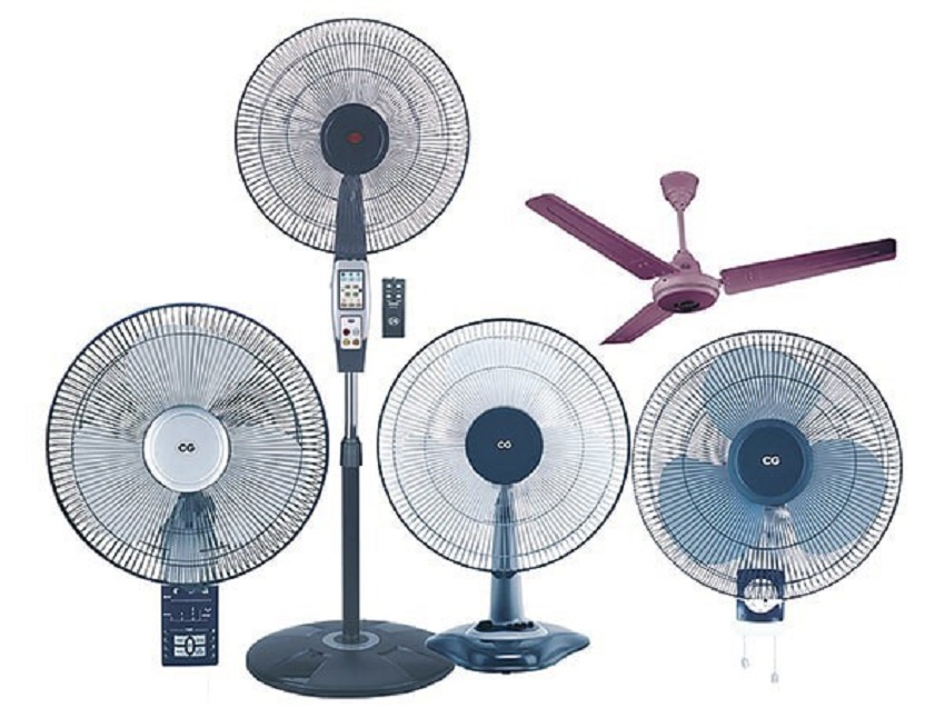 Пинауп fan